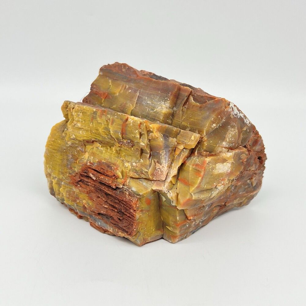 Arizona Rainbow Petrified Wood Specimen Agatized Fossil Rock 1.7lb Red Brown VTG